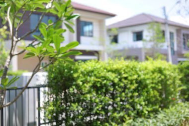 Bahçenin arka planı bulanık yeşil bitki desenli doğal manzara.