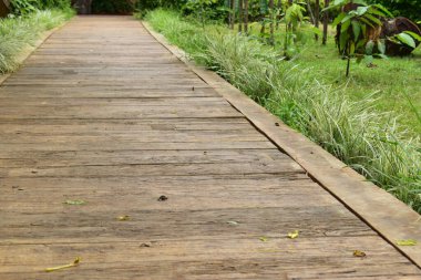 Yeşil doğal parktaki beton tuğla yolu