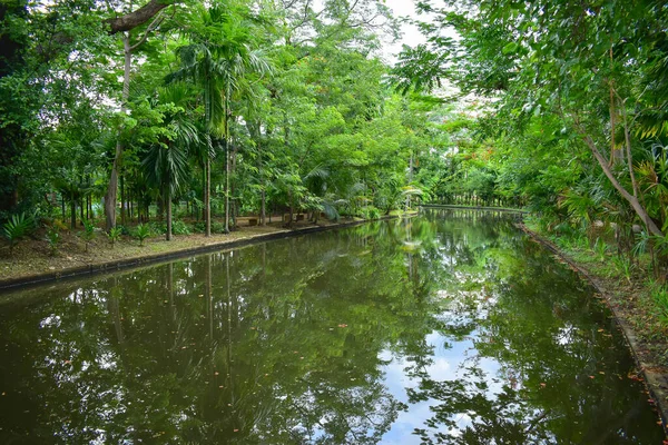 Landscape Public Park Morning View Water Small Pond — 스톡 사진