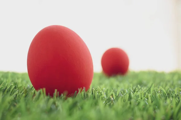 Κόκκινο Πασχαλινό Αυγό Στο Γκαζόν Πράσινο Γρασίδι Τεχνητό Κενό Λευκό — Φωτογραφία Αρχείου