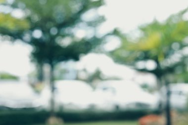 soyut görüntü arkaplanı, yeşil doğa parkının bulanıklığı