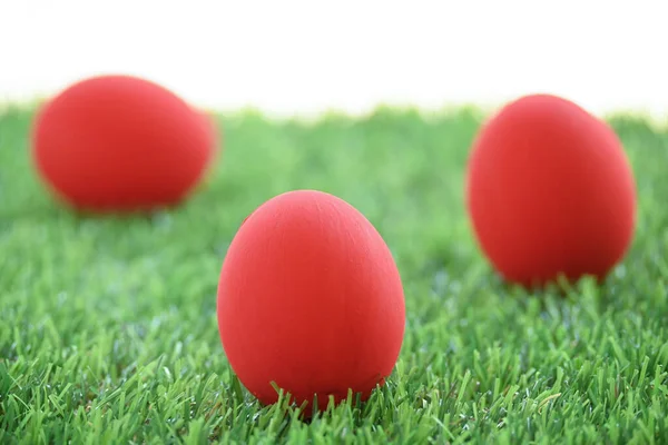 Red Easter Egg Lawn Green Grass Artificial Blank White Background — Stock Photo, Image