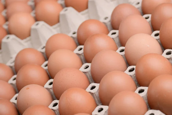 消费品工业纸板箱中的新鲜有机鸡蛋 — 图库照片