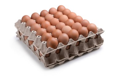 Beyaz arka planda izole edilmiş kağıt paneldeki taze organik yumurta