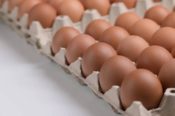 Telur Organik Segar Dalam Panel Kertas Pada Latar Belakang Putih — Stok Foto