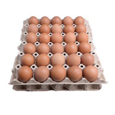 Beyaz arka planda izole edilmiş kağıt paneldeki taze organik yumurta