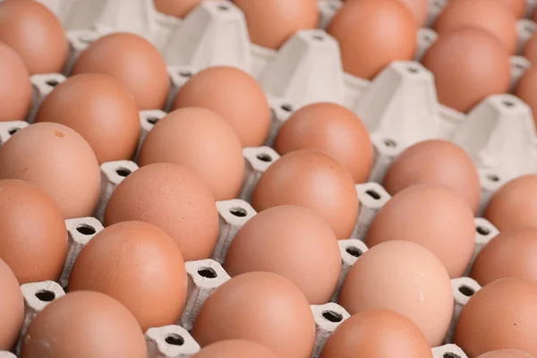 消费品工业纸板箱中的新鲜有机鸡蛋 — 图库照片