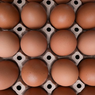 Tüketim endüstrisinin kağıt panelinde taze organik yumurta