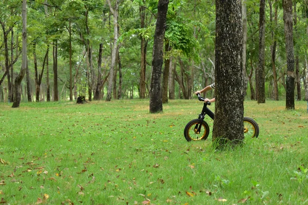 happy kid playing balance bike in nature park