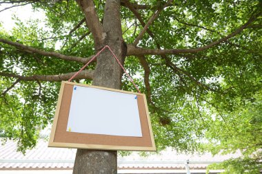Beyaz kağıt, bahçedeki ağaçta asılı ilan tahtasına boş bir mesaj notu yapıştırır.