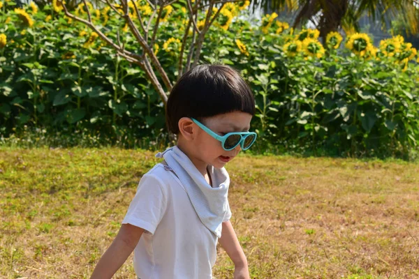 Cute Child Sunflower Field Outdoor Flower Park Boy Wearing Sunglasses — 스톡 사진