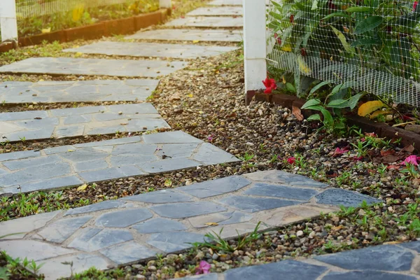 Chemin Bloc Pierre Dans Jardin Fleurs — Photo