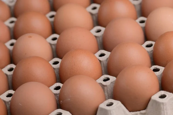 Świeże Organiczne Jaja Papierowym Panelu Konsumpcji Przemysłu — Zdjęcie stockowe