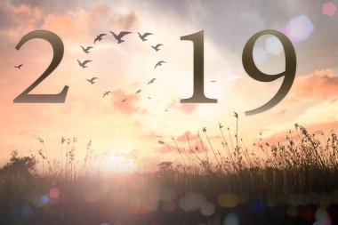 Mutlu yeni yıl 2019 kavramı: 2019 çayır günbatımı arka plan üzerinde metin.
