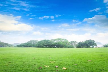 Dünya gün kavramı: yeşil çim ve mavi gökyüzü arka plan