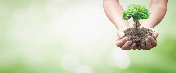 Earth Day Concept Human Hands Holding Tree Blurred Nature Background — Stock Photo, Image