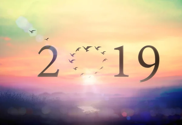 Feliz Ano Novo 2019 Conceito — Fotografia de Stock
