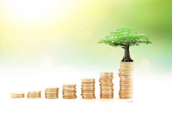 Fund concept: Stacks of golden coins with big tree on blurred nature background.