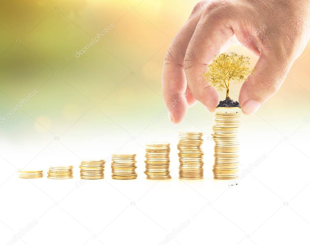 Investment concept: Human hand holding one coin and golden tree with stack of coins over blurred nature background.