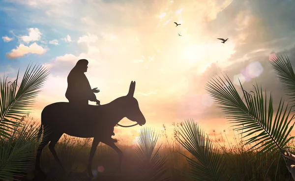 Palm Sunday Concept Jesus Christ Riding Donkey Meadow Sunset Background — Stock Photo, Image