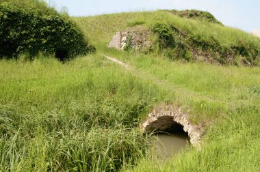 Küçük yaşlı yeşil çimen taş köprü
