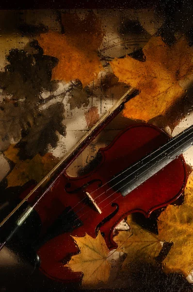 Violin and autumn leaves across a water drops on glass. — Stock Photo, Image