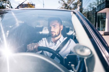 Sakallı adam araba kullanıyor.