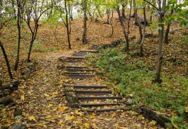 Sonbahar Park içinde merdiveni
