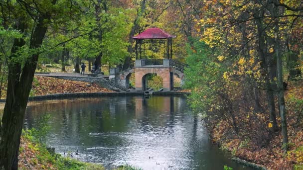 秋の公園の橋 — ストック動画