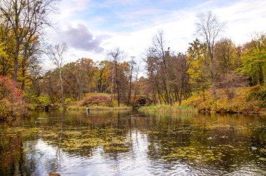 güzel sonbahar göl