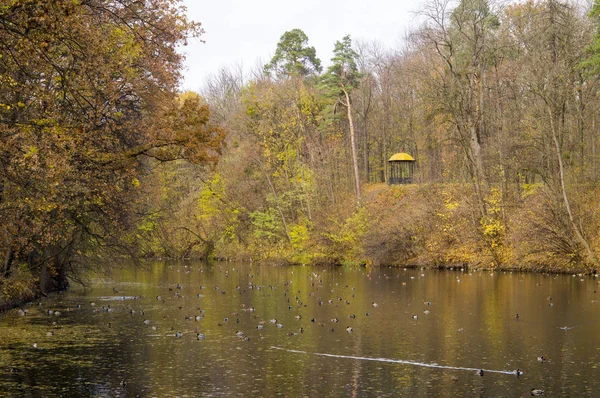 Lindo lago outono — Fotografia de Stock