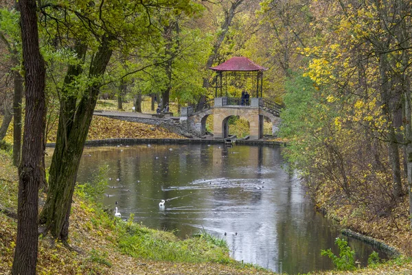 Puente en el parque de otoño —  Fotos de Stock