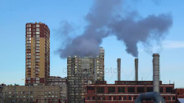 Fumée d'usine près de la zone résidentielle — Video