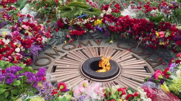 Kwiaty w pobliżu ognia wiecznego w chwale Park — Wideo stockowe