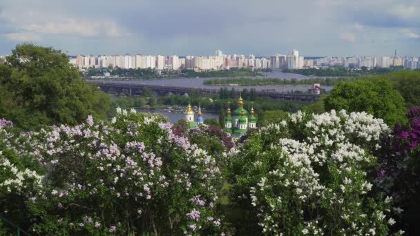 Bir çiçek leylak ağaçları ile Kiev şehir panoraması — Stok video