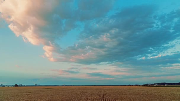 Nubes vuelan lejos sobre el campo — Vídeo de stock