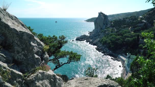 Black Sea Bay och Juniper Tree på Krim berg — Stockvideo