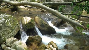 Şelale üzerinde bir dağ nehir Kırım ağır çekim