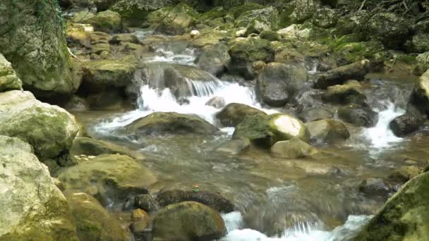 크림 산 강 — 비디오
