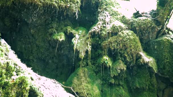 Gocce d'acqua gocciolano dalla cascata — Video Stock