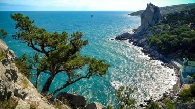 Siyah deniz Körfezi ve Kırım Dağları ardıç ağacı