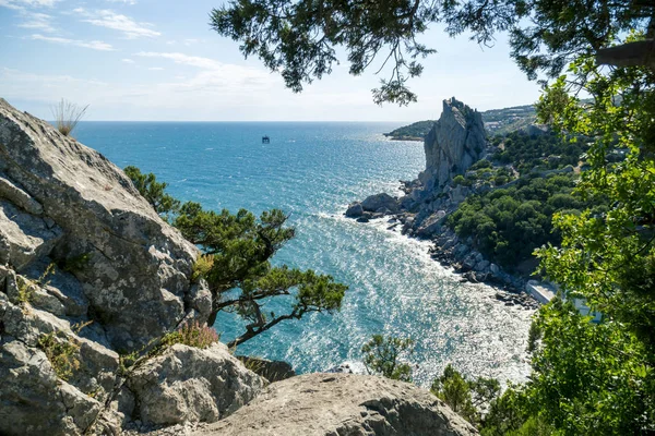 Baía do Mar Negro e Juniper Tree em montanhas da Crimeia Imagens De Bancos De Imagens