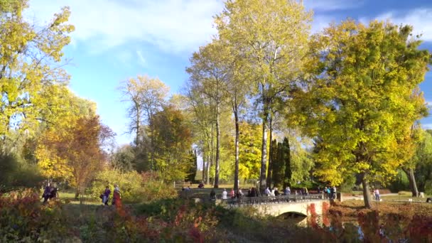 Puente Parque Otoño — Vídeos de Stock