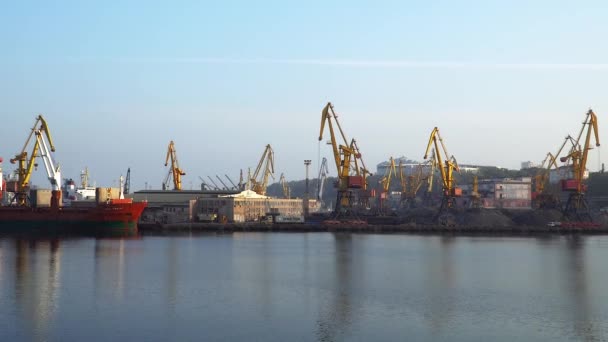 Odessa Cargo Sea Port — Stock Video