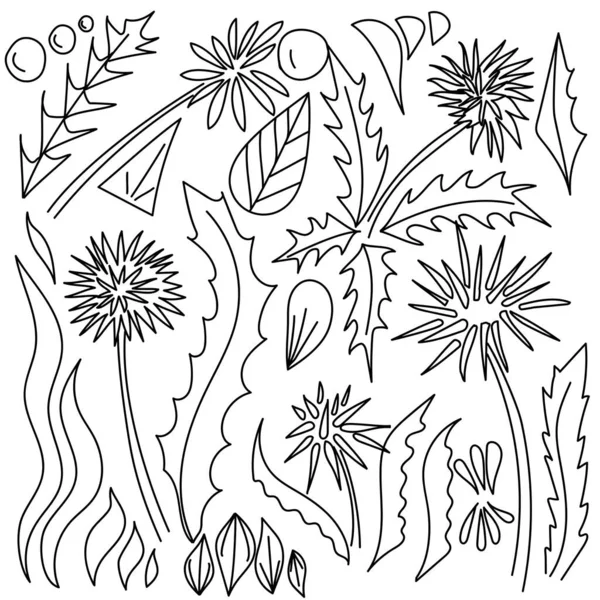 Ensemble Fleurs Vectorielles Pissenlit Éléments Végétaux Gribouillis Pour Cadre Design — Image vectorielle
