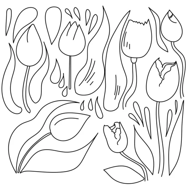 디자인 창의성을 Doodle Tulips Vector Set — 스톡 벡터