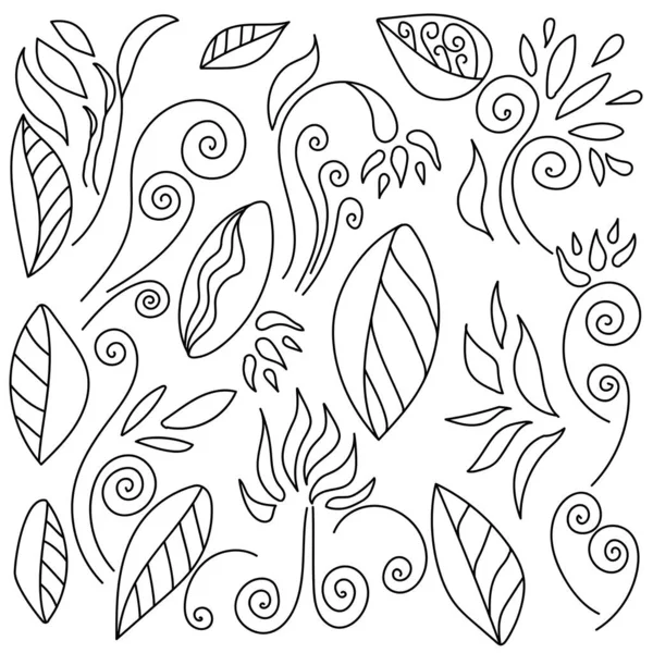 Vektor Set Aus Doodle Blumen Und Blättern Für Design Und — Stockvektor