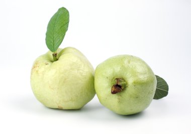 Beyaz bir arka plan üzerinde kim-cu izole guava