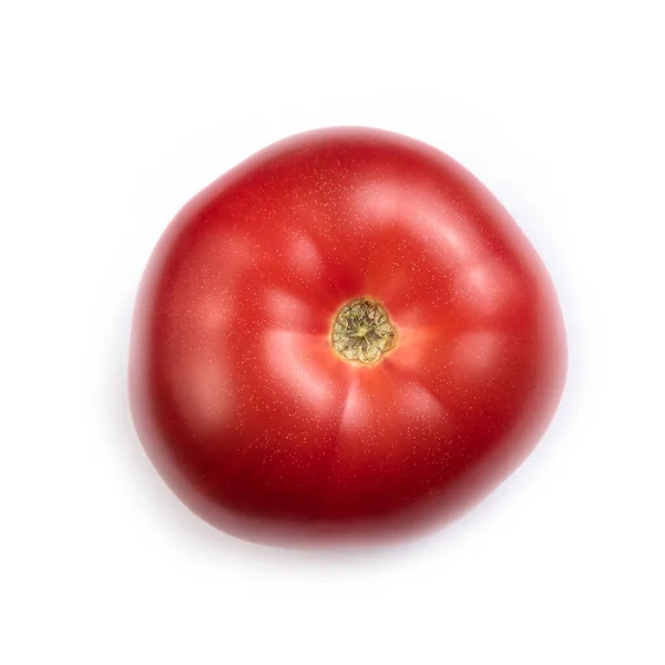 Vermelho Suculento Tomate Maduro Fundo Branco — Fotografia de Stock