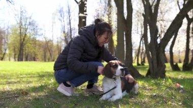 Bir kız köpeğini bir fırçayla çimenlikte kaşır. Hayvan dostu kavram. Yavaş çekim.